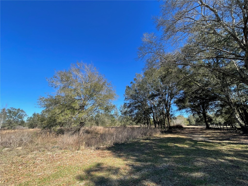 0 Nw 167th Court Morriston FL 32668 OM652209 image1