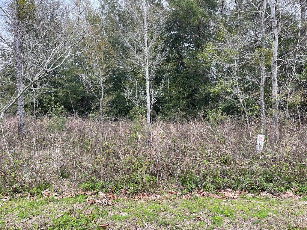 0 Nw 3rd St Ocala FL 34482 S5099980 image1