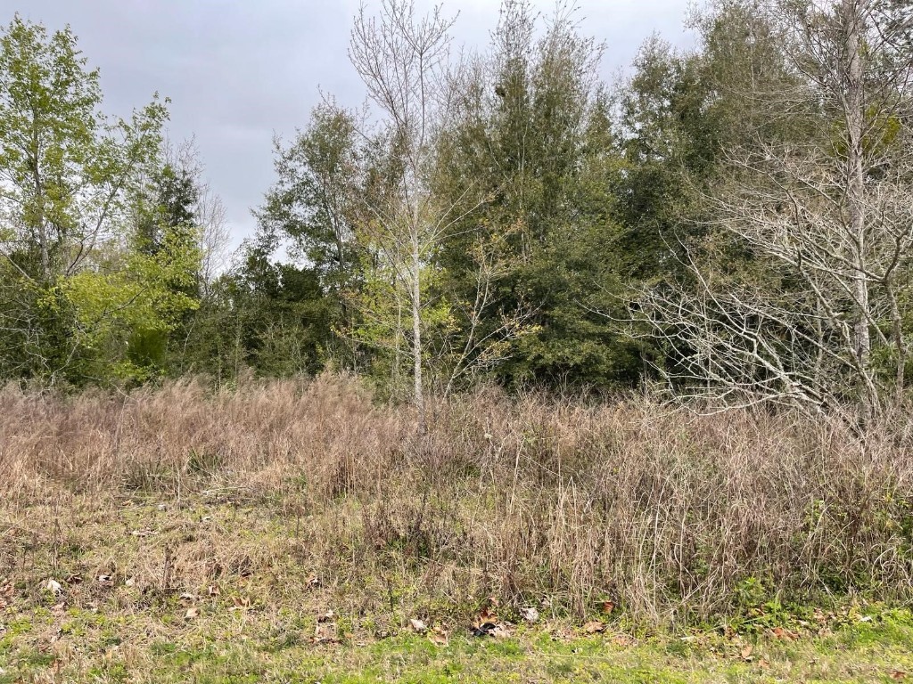 0 Nw 3rd St Ocala FL 34482 S5099982 image1