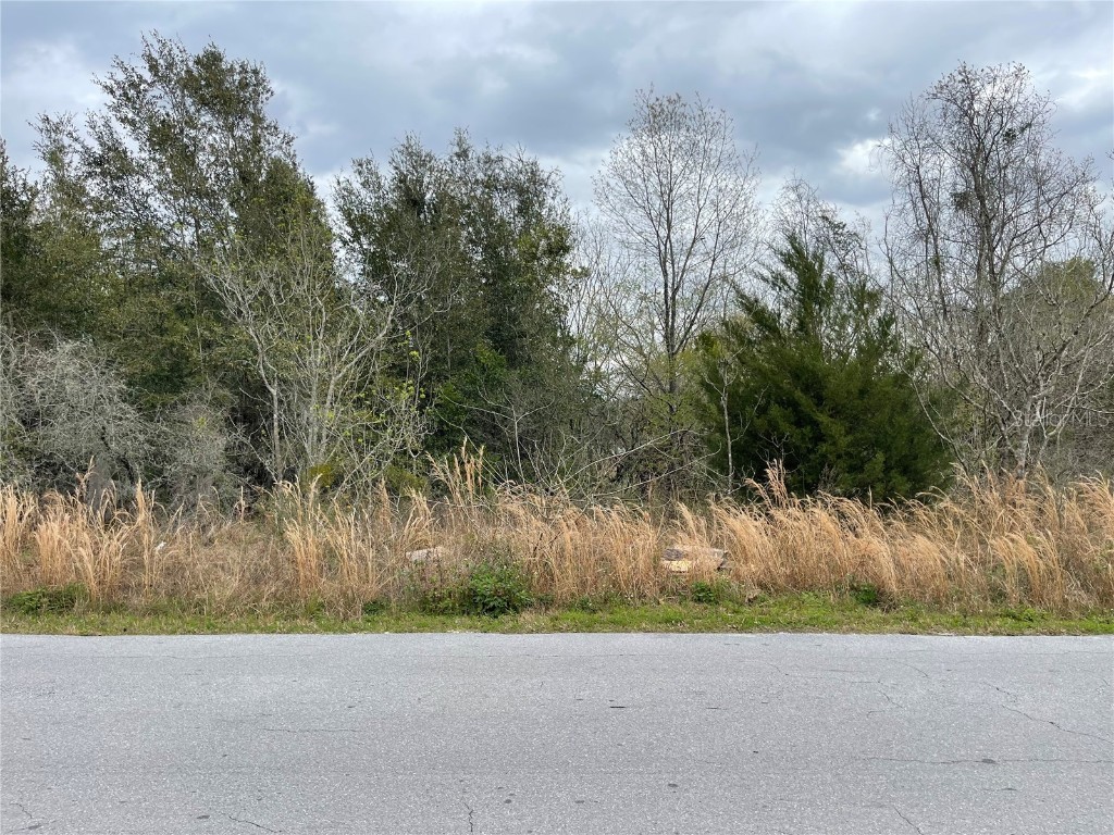0 Nw 53rd Ct Ocala FL 34482 S5099986 image1