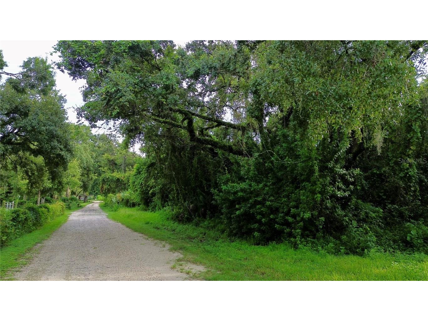 0 New Port Richey FL 34654 TB8421780 image1