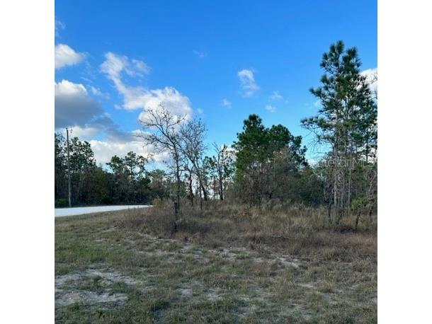0 Sanders Ave - Lot 21 Weeki Wachee FL 34614 W7851009 image1