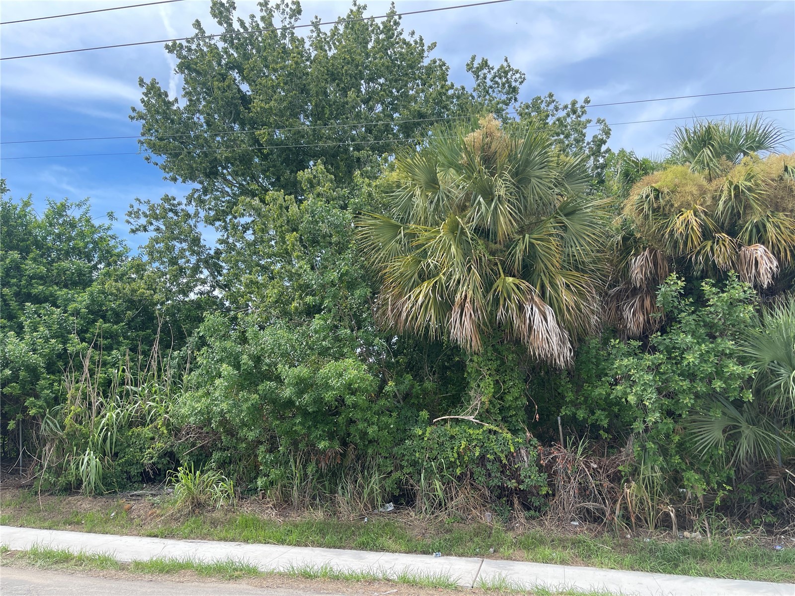 0 Scallop Port Richey FL 34668 TB8527034 image3