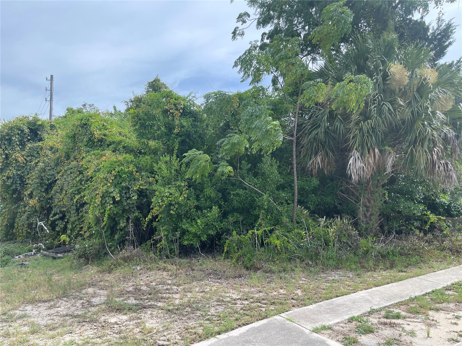 0 Scallop Port Richey FL 34668 TB8527034 image5