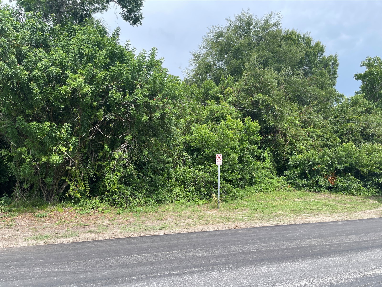 0 Scallop Port Richey FL 34668 TB8527034 image6