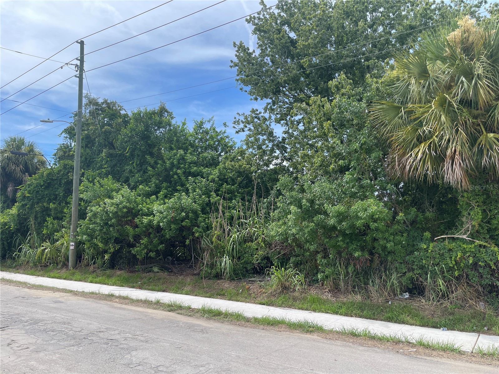 0 Scallop Port Richey FL 34668 TB8527034 image8
