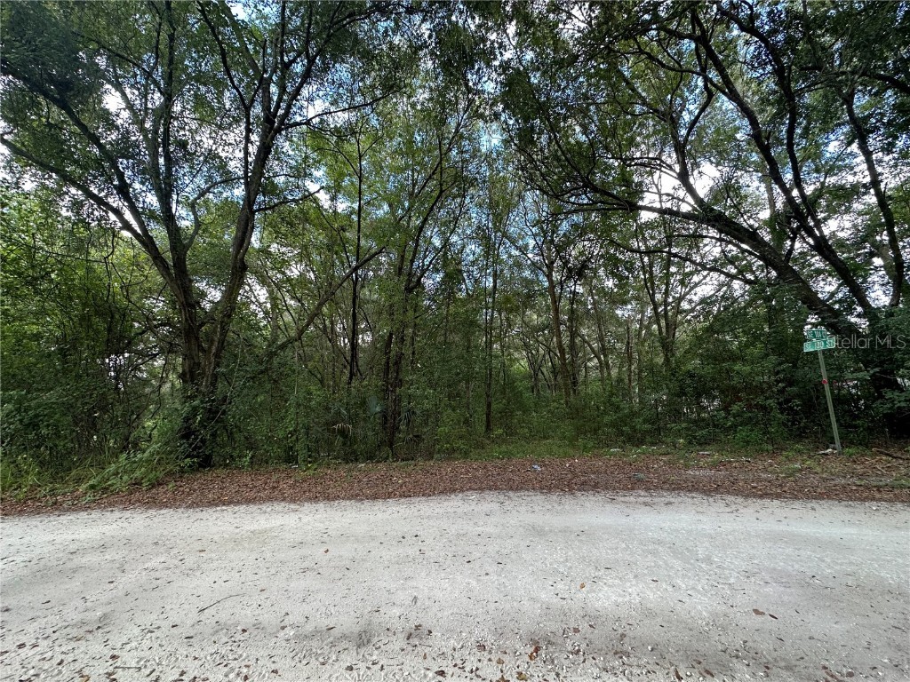 0 Se 130 St Belleview FL 34420 O6133311 image1