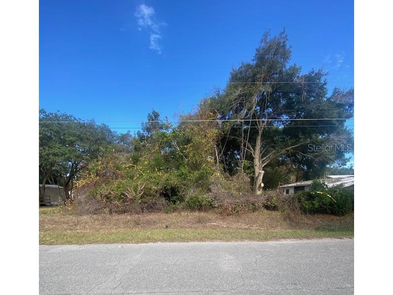 0 Se 143 Ln Summerfield FL 34491 L4957941 image4