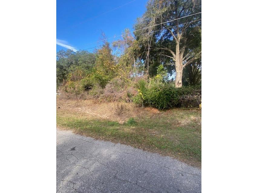 0 Se 143 Ln Summerfield FL 34491 L4957941 image5
