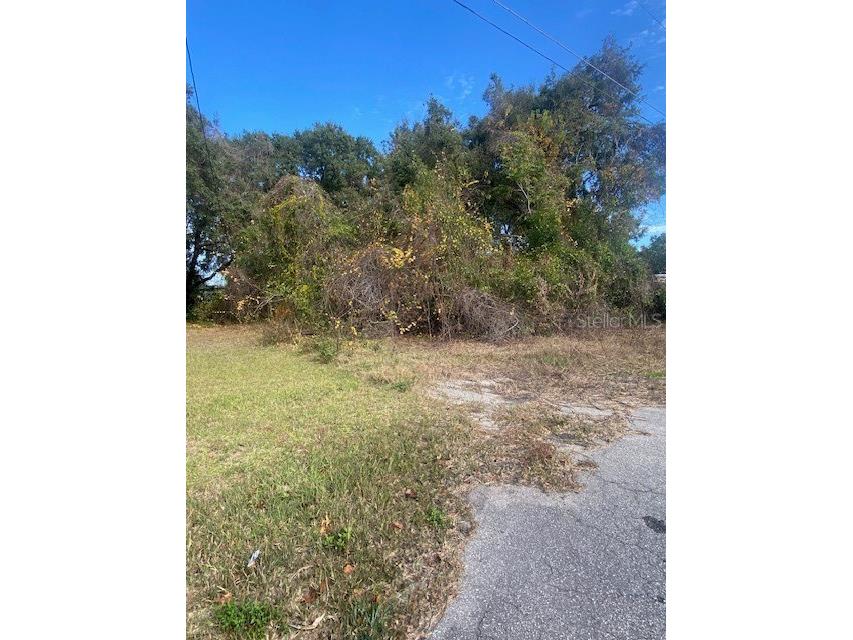 0 Se 143 Ln Summerfield FL 34491 L4957941 image6