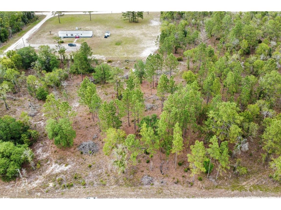 0 Se 25th Street Morriston FL 32668 OM638266 image1