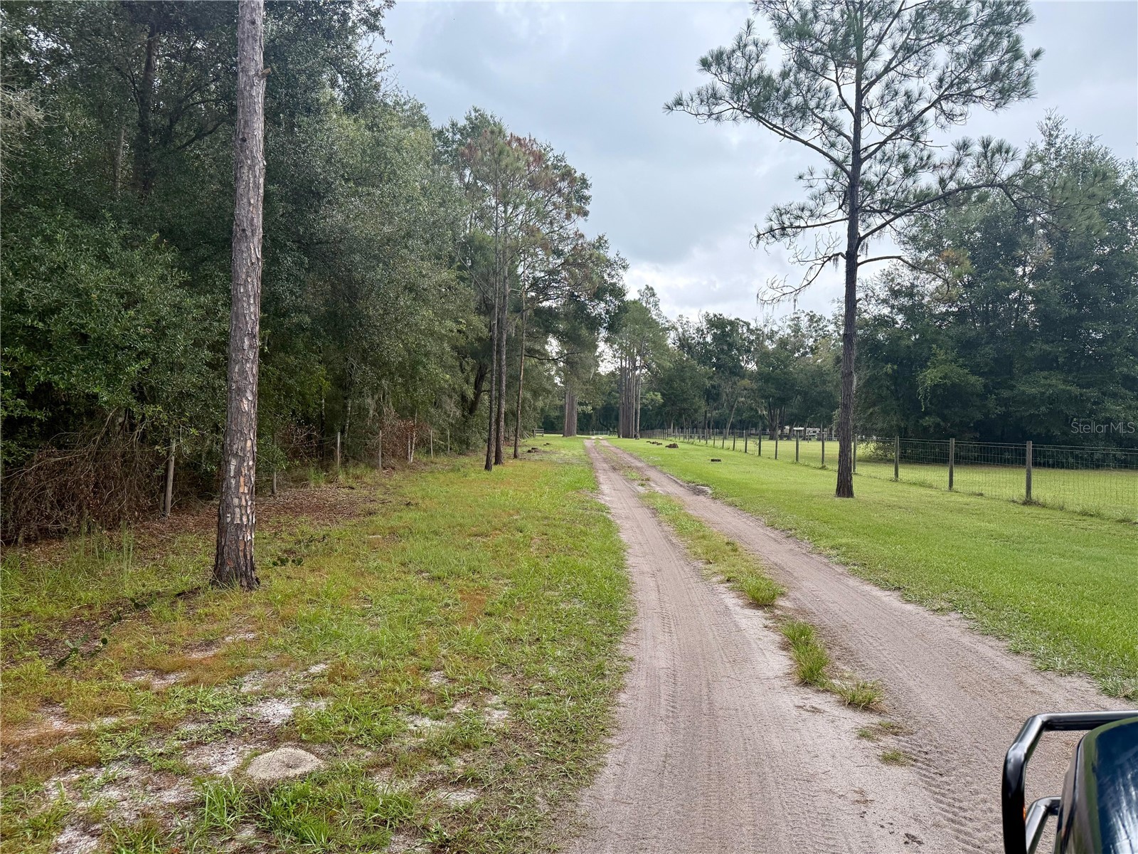 0 State Road 471 Webster FL 33597 TB8422025 image5