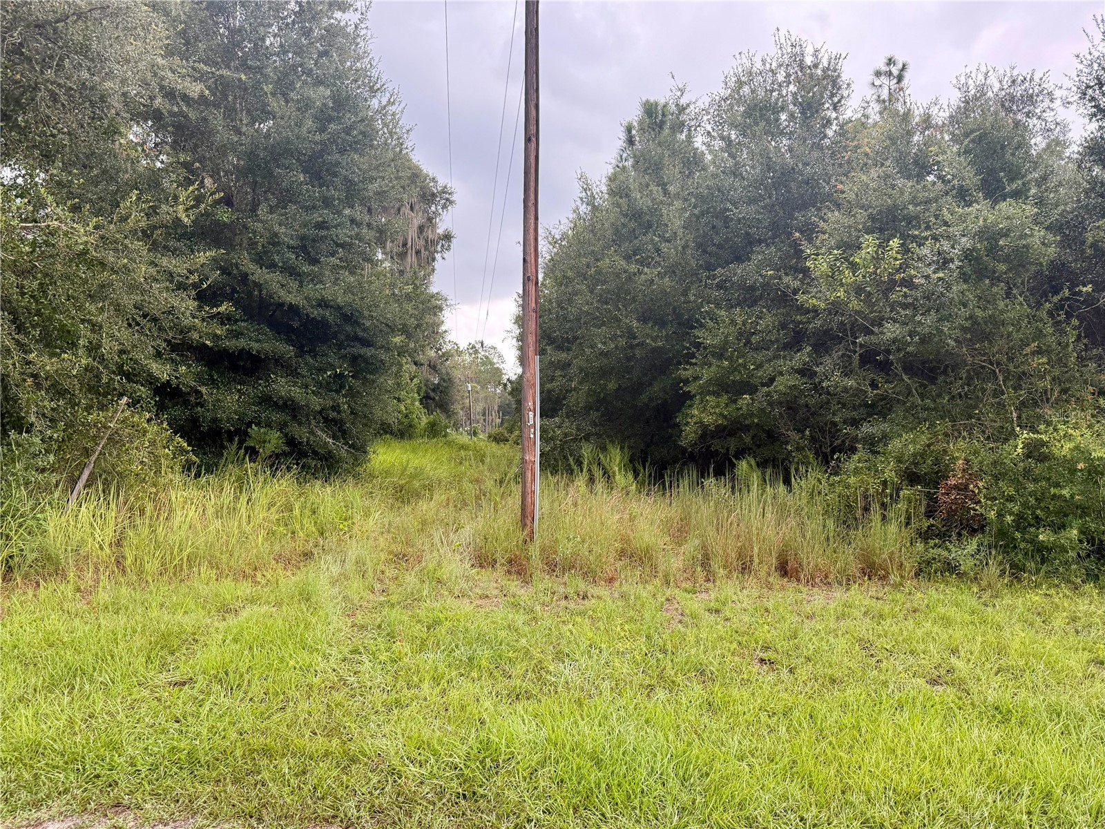 0 State Road 471 Webster FL 33597 TB8422025 image8