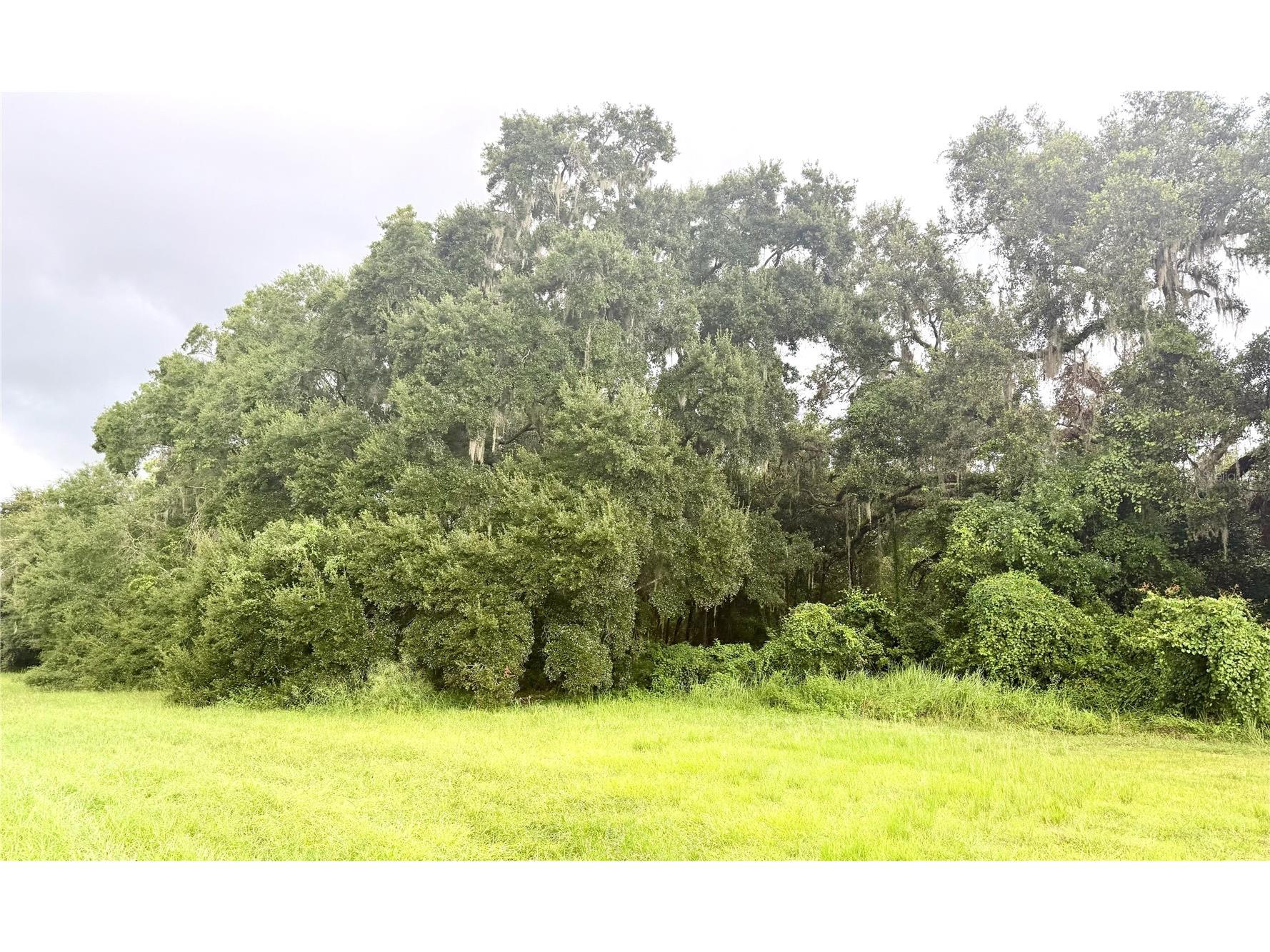 0 State Road 471 Webster FL 33597 TB8422025 image9