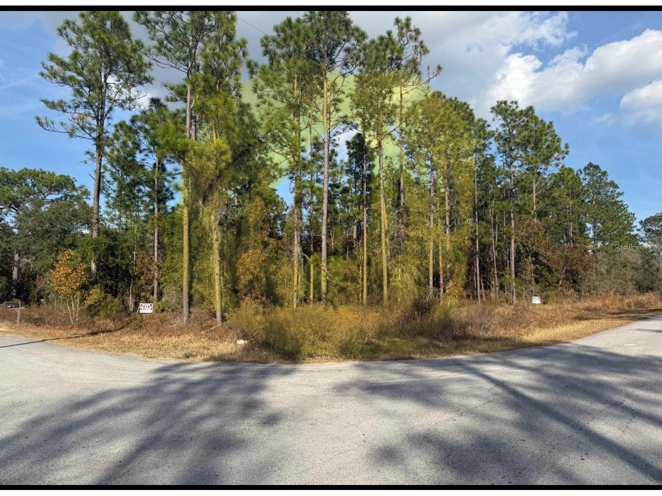 0 Sunset Avenue NW Dunnellon FL 34431 S5142967 image2
