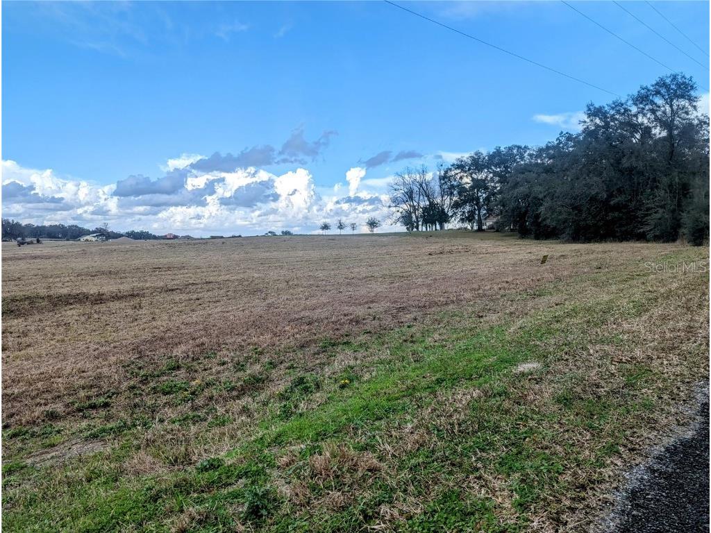 0 Sw 10th Street SW Dunnellon FL 34431 OM657835 image1