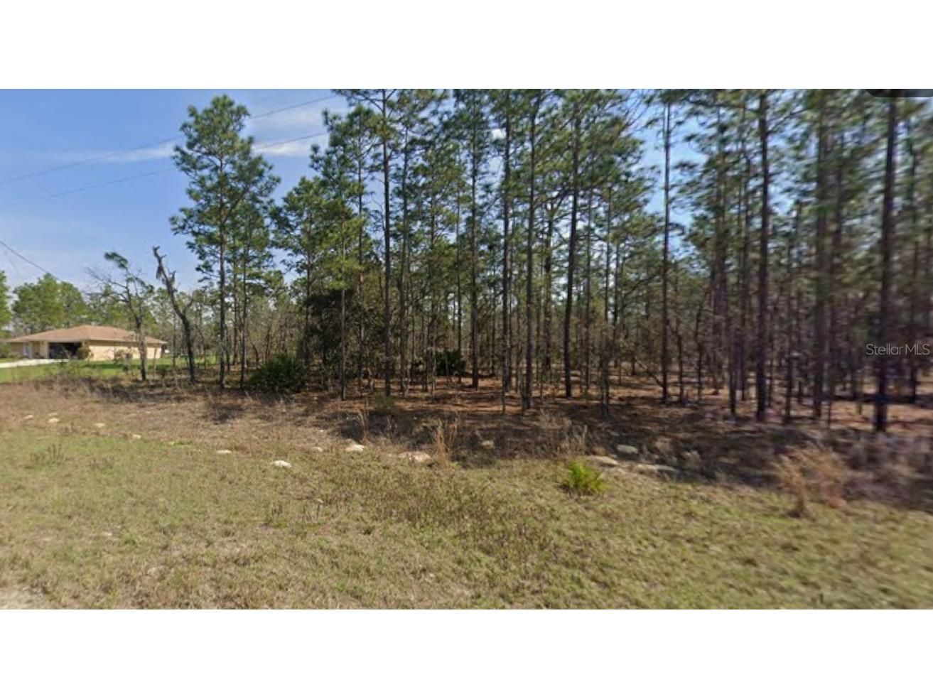 0 Sw 125th Court Rd Ocala FL 34481 OM718066 image2