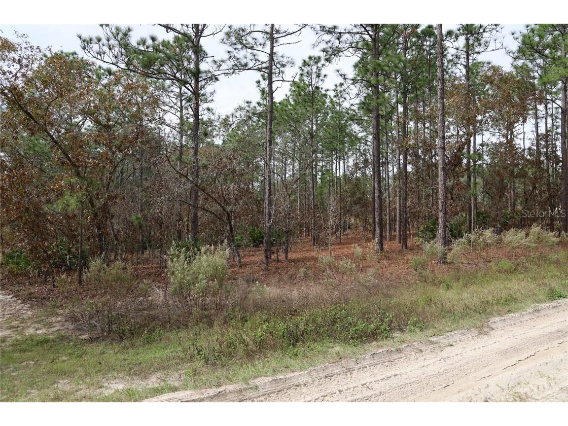 0 Sw 127th Avenue Road Dunnellon FL 34432 OM669152 image1