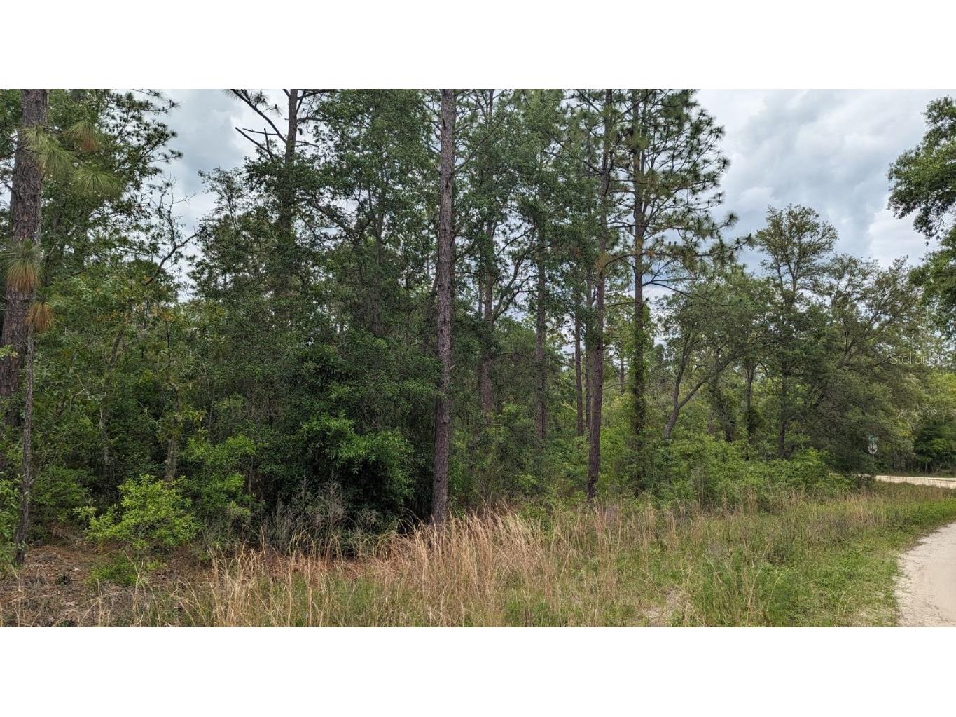 0 Sw 131st Cir Lot 10 Ocala FL 34481 OM680757 image1