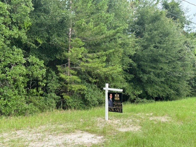 0 Sw 132 Loop Ocala FL 34473 S5132633 image1