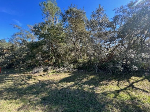 0 Sw 172nd Lane Rd Ocala FL 34473 S5076887 image1