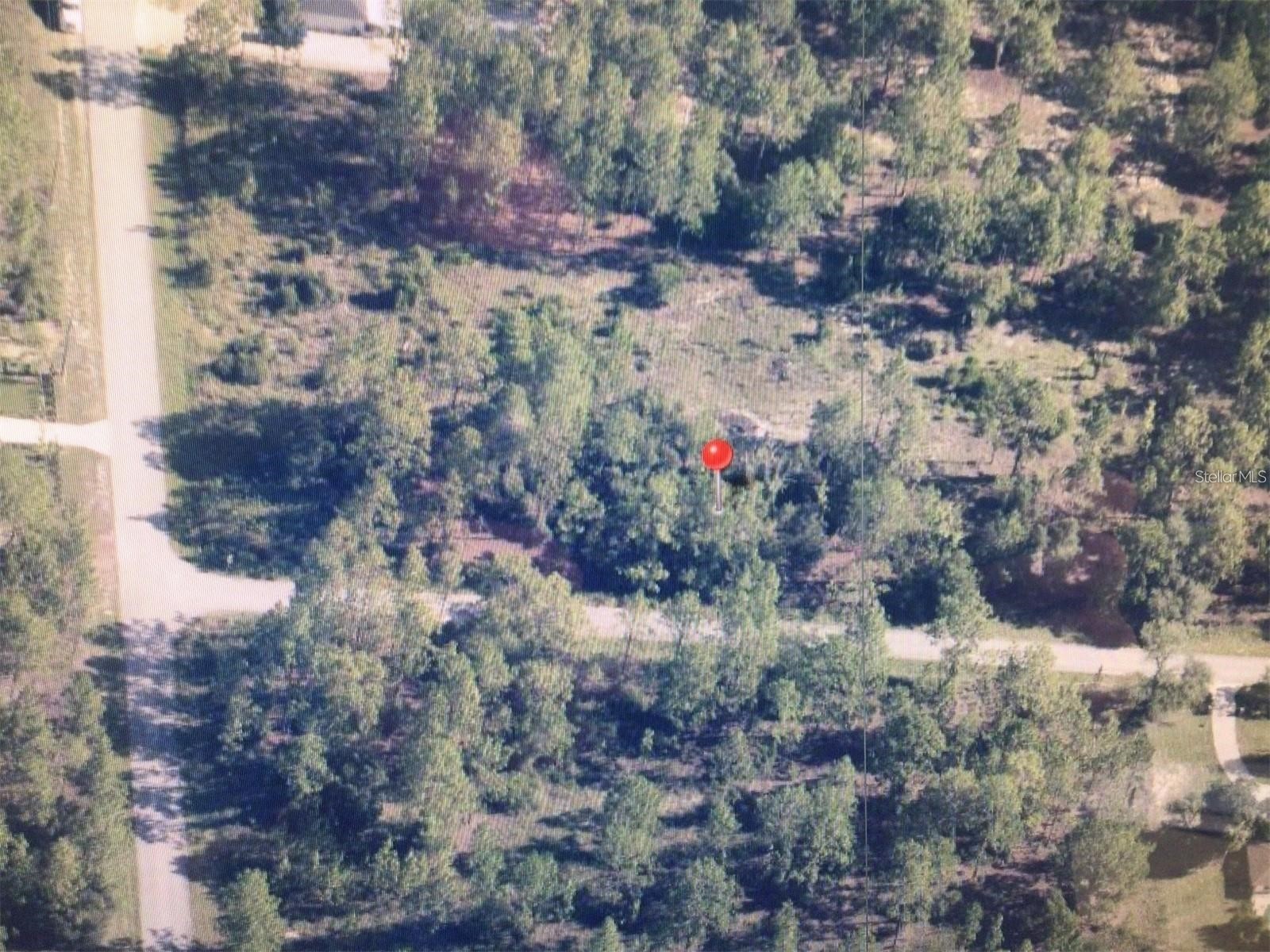 0 Sw 209 Ave Dunnellon FL 34431 TB8505685 image3