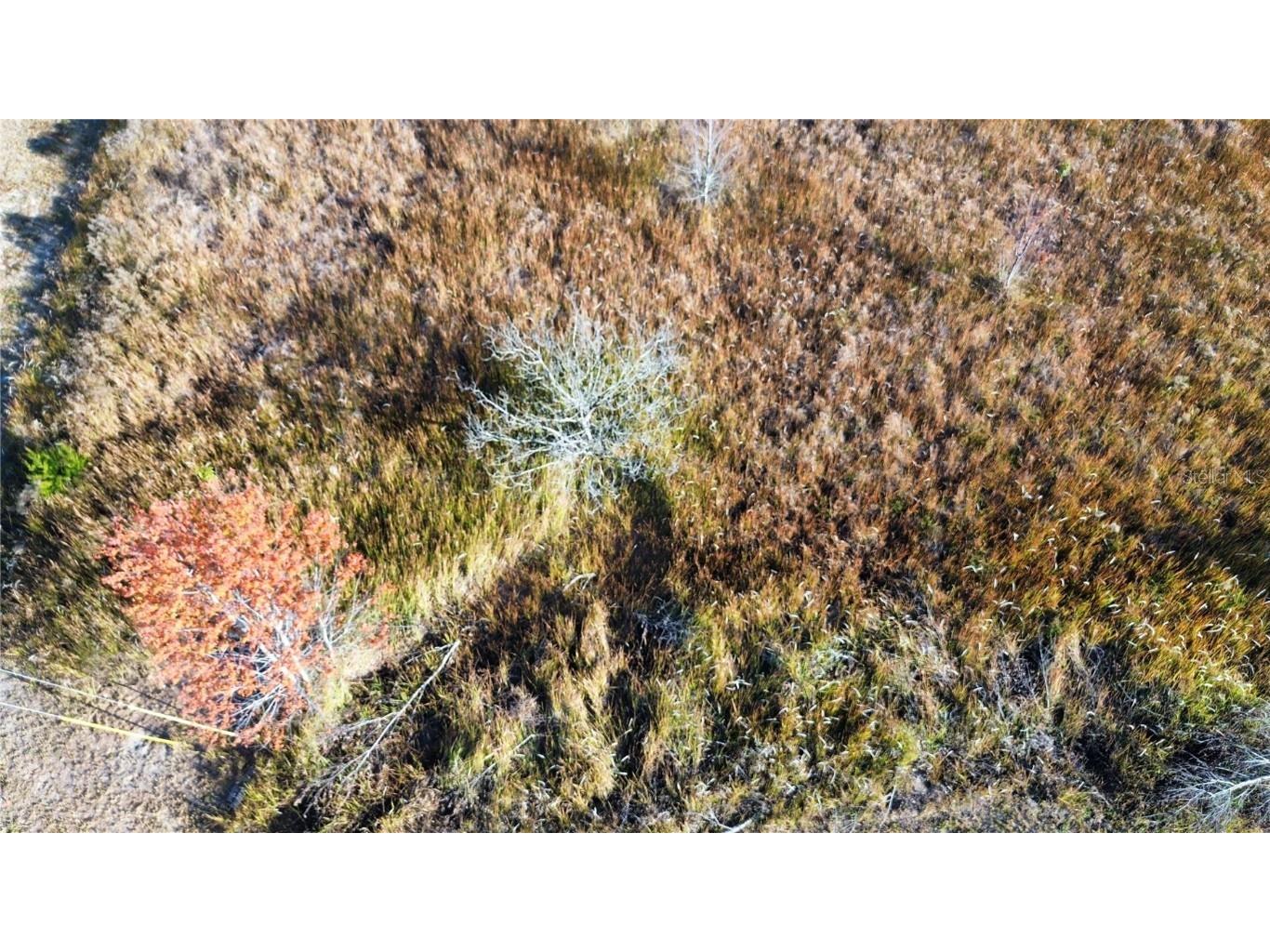 0 Sw 32nd Place Ocala FL 34481 OM713881 image10