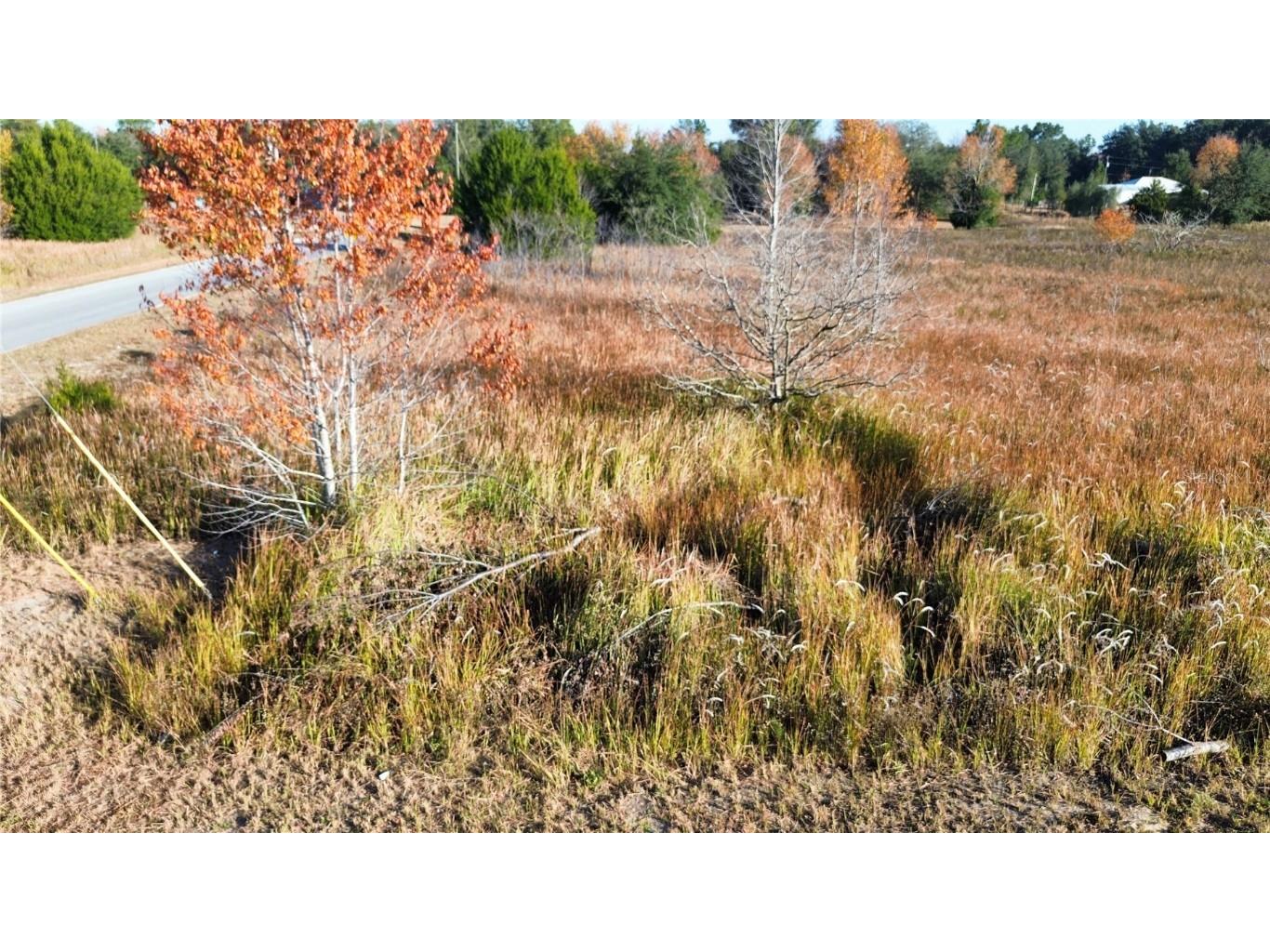 0 Sw 32nd Place Ocala FL 34481 OM713881 image14