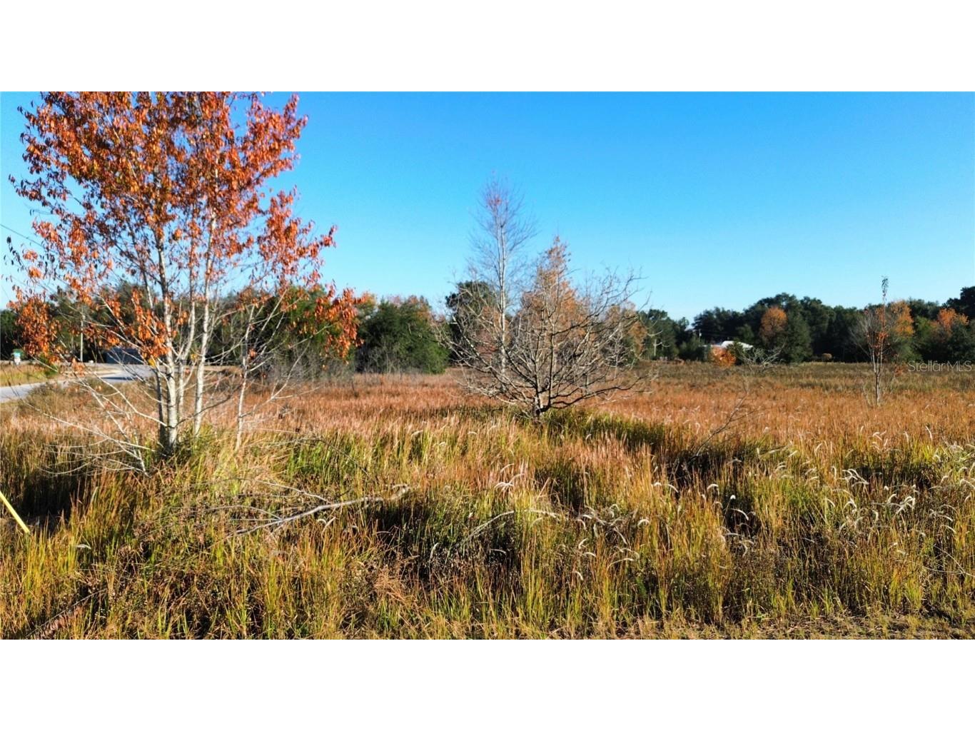 0 Sw 32nd Place Ocala FL 34481 OM713881 image2