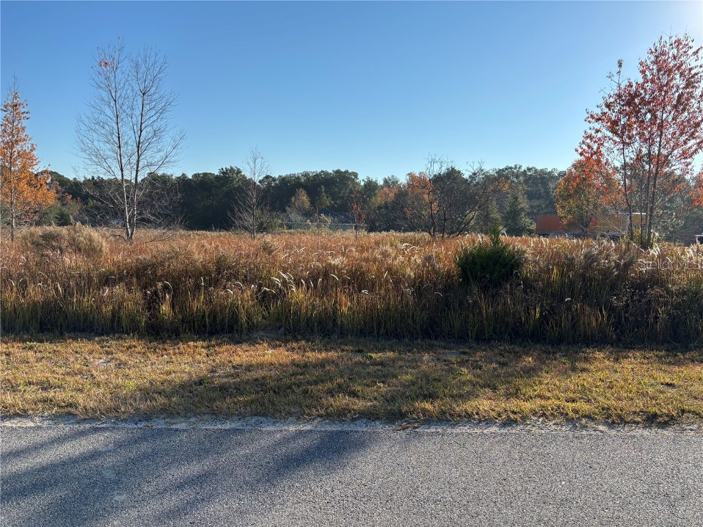 0 Sw 32nd Place Ocala FL 34481 OM713881 image3