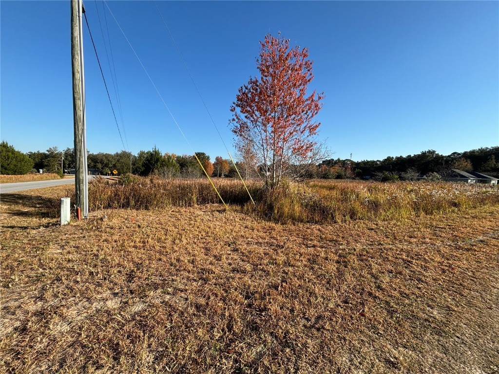 0 Sw 32nd Place Ocala FL 34481 OM713881 image4