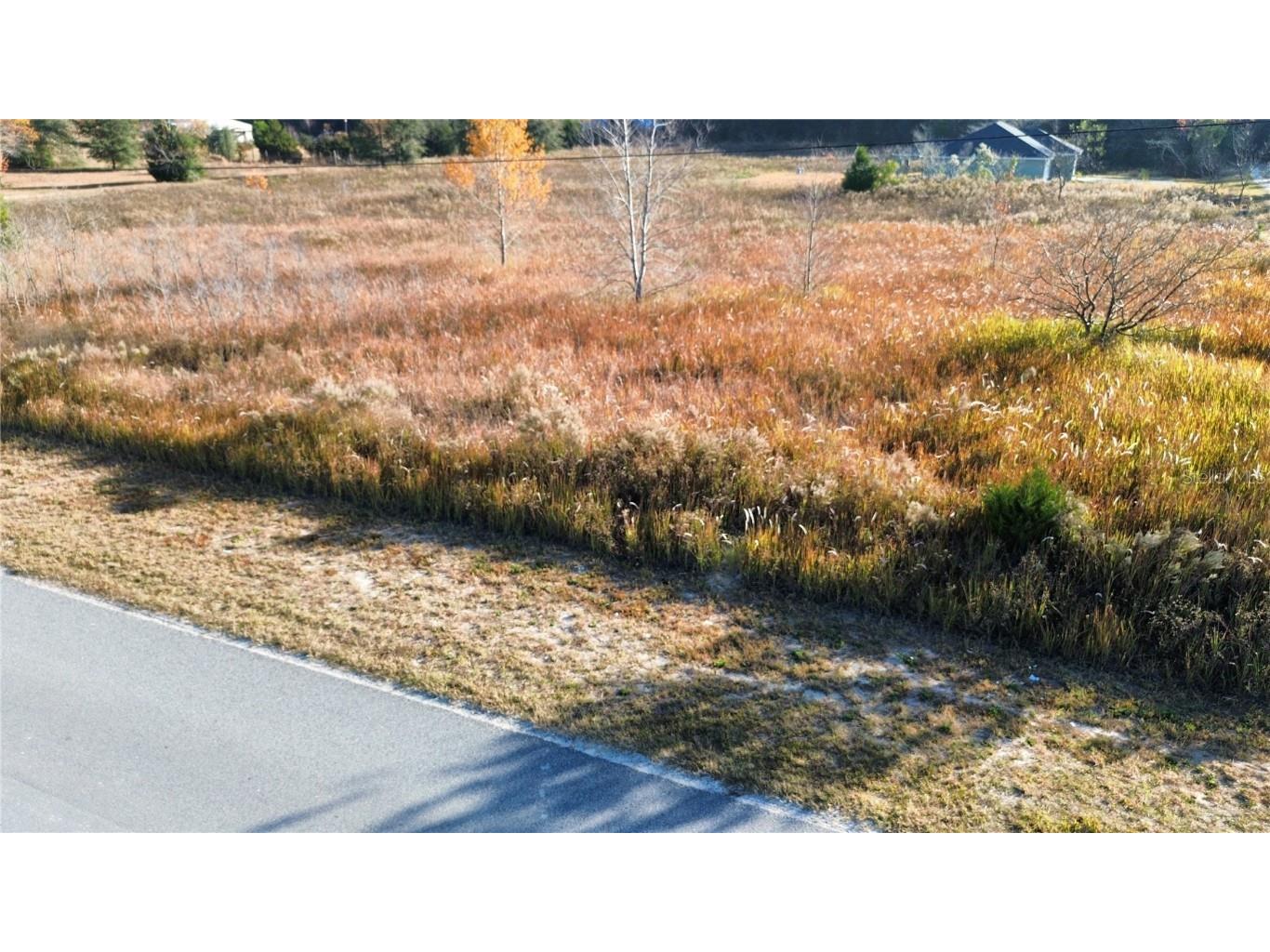 0 Sw 32nd Place Ocala FL 34481 OM713881 image6