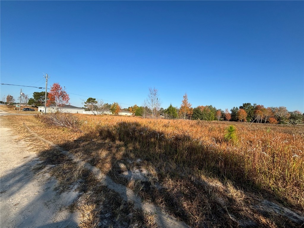 0 Sw 32nd Place Ocala FL 34481 OM713881 image8