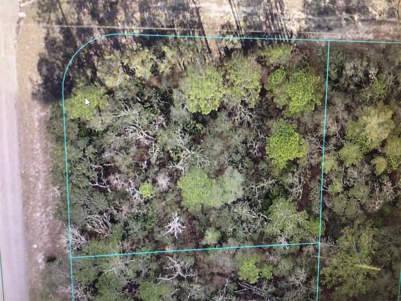 0 Sw 69 Court Rd Ocala FL 34473 TB8505637 image2