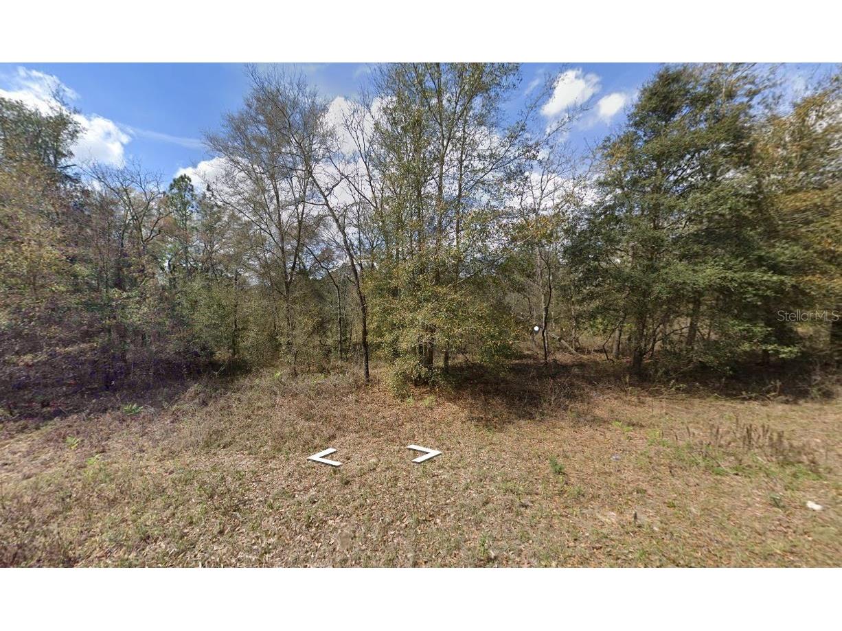 0 Sw 90th Place Dunnellon FL 34432 O6200695 image1