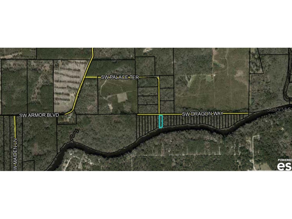 0 Sw Dragon Way Jasper FL 32052 - SWANNEE RIVER FC295993 image1