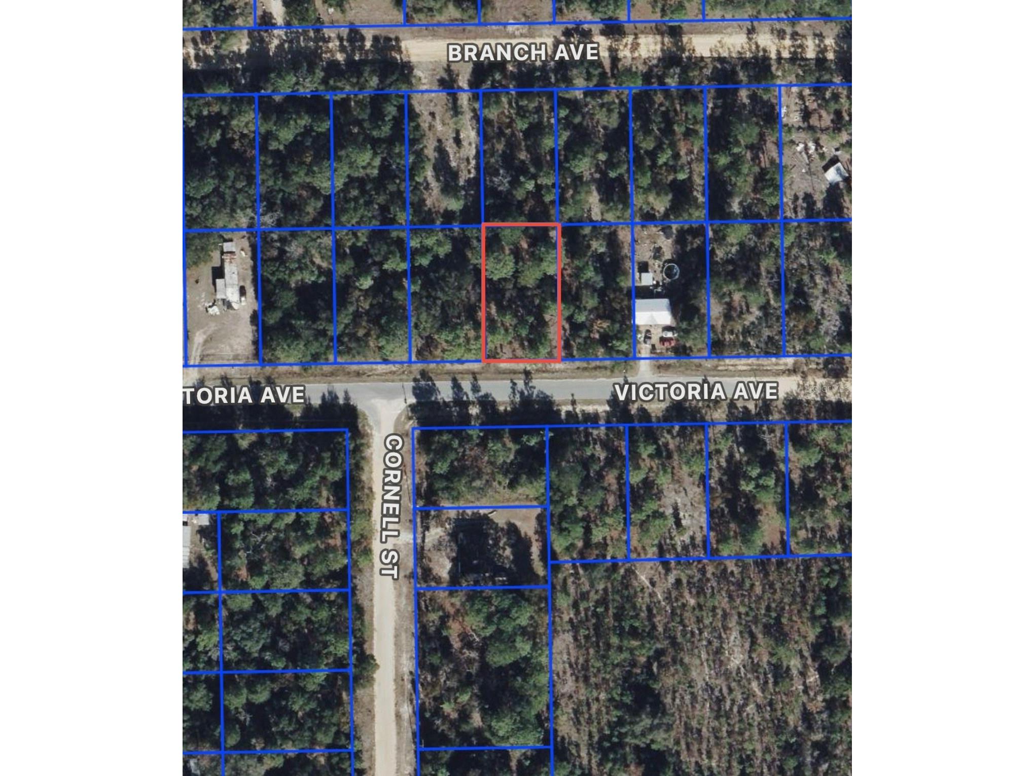 0 Unassigned Interlachen FL 32148 O6372922 image1