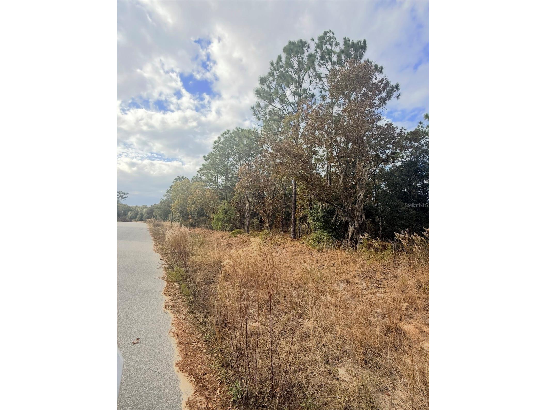 0 Unassigned Interlachen FL 32148 O6372922 image4