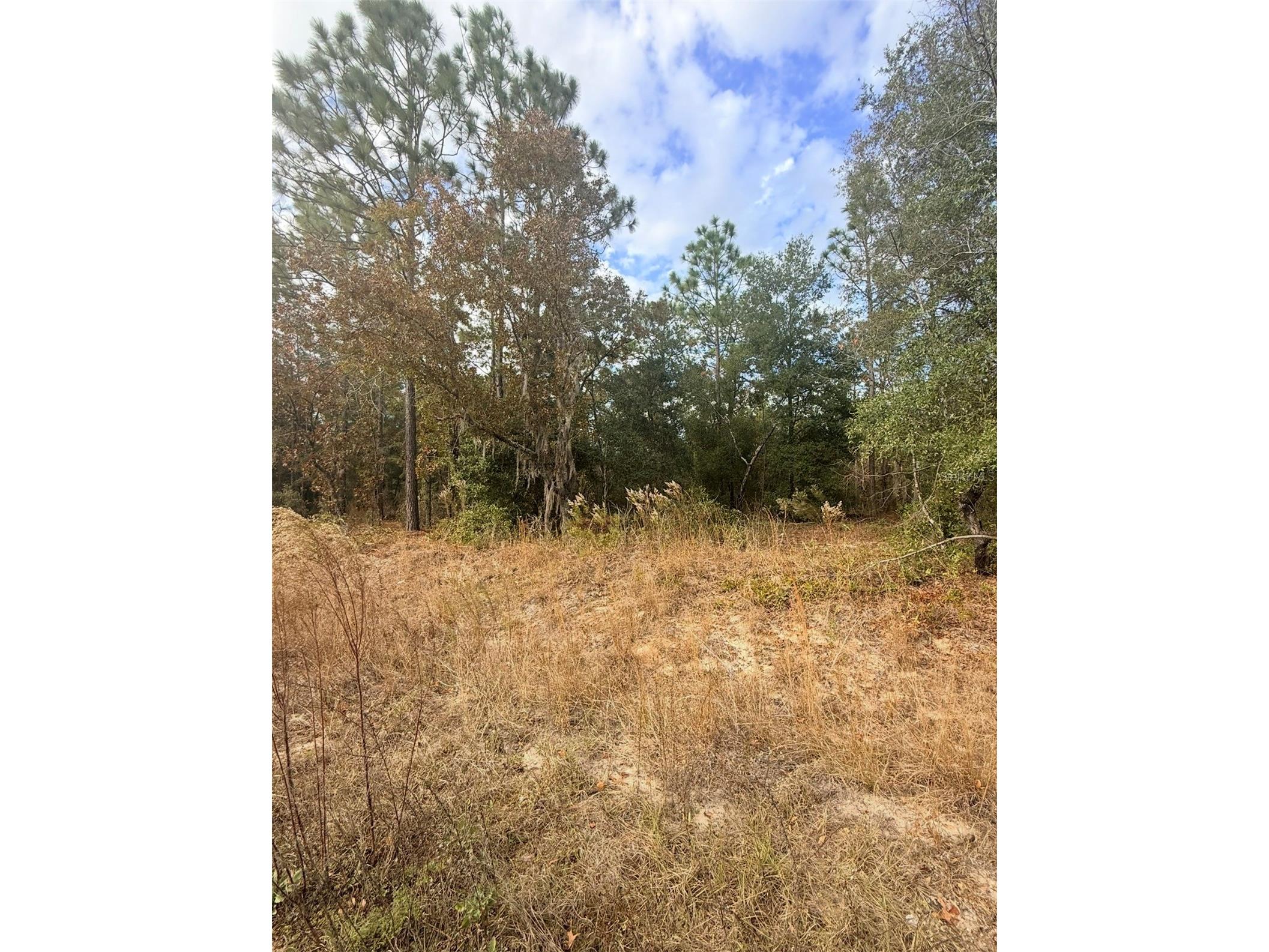 0 Unassigned Interlachen FL 32148 O6372922 image5