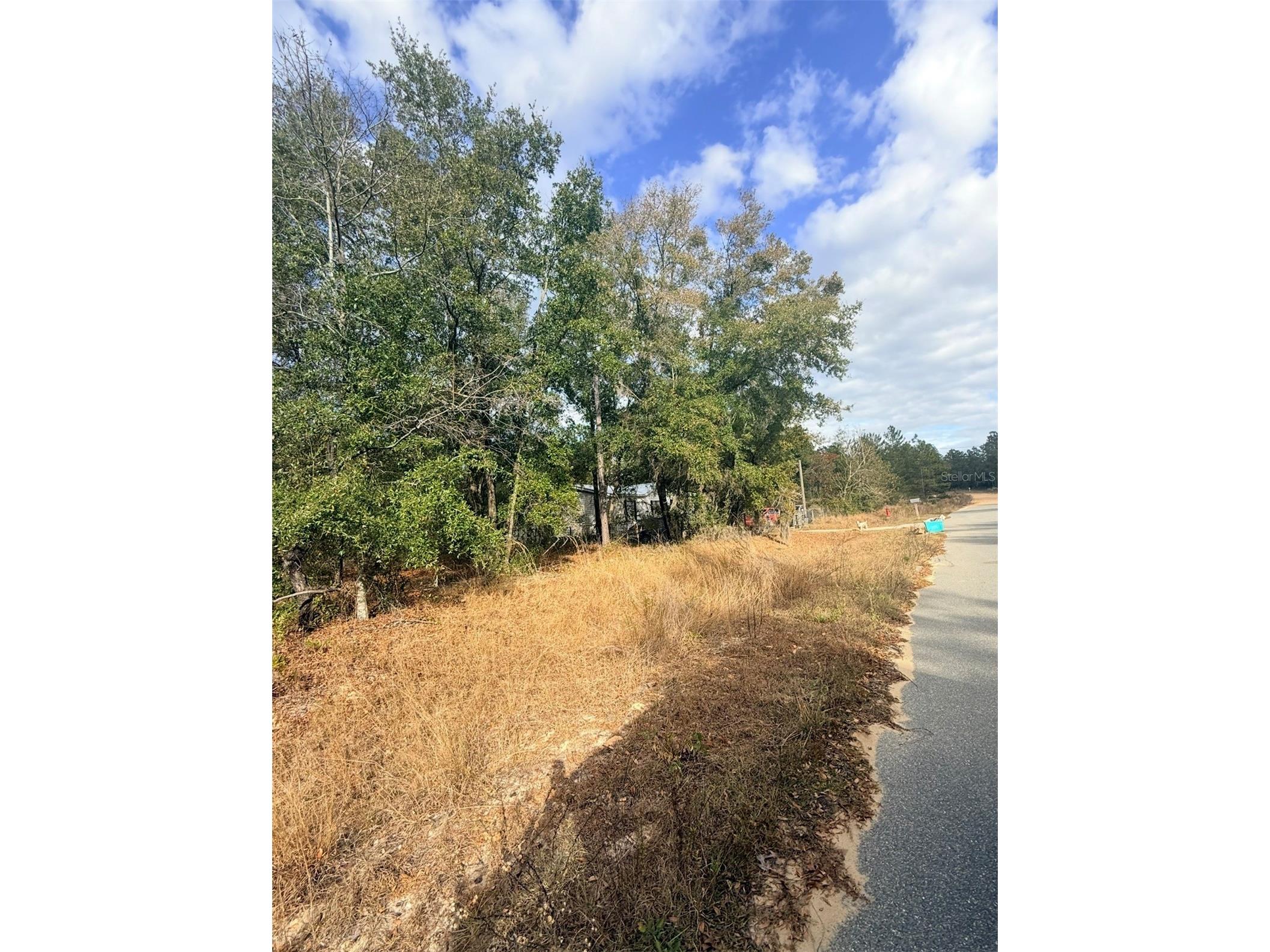 0 Unassigned Interlachen FL 32148 O6372922 image6