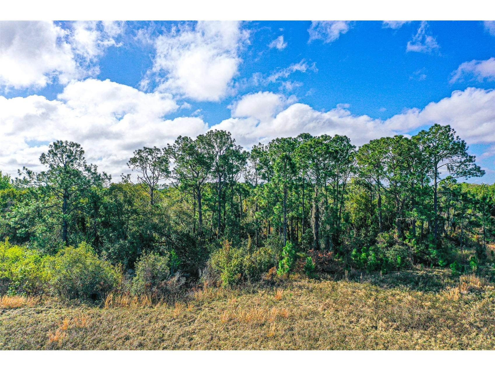 0 Winter Haven FL 33880 L4959833 image1