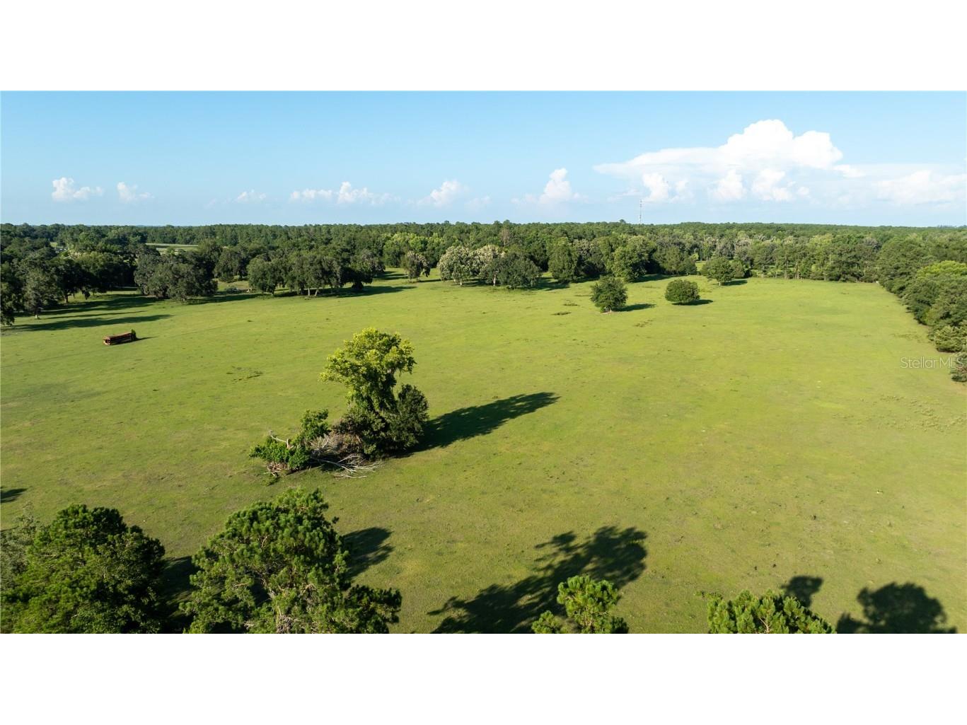 00 135th Ave Morriston FL 32668 OM680273 image1