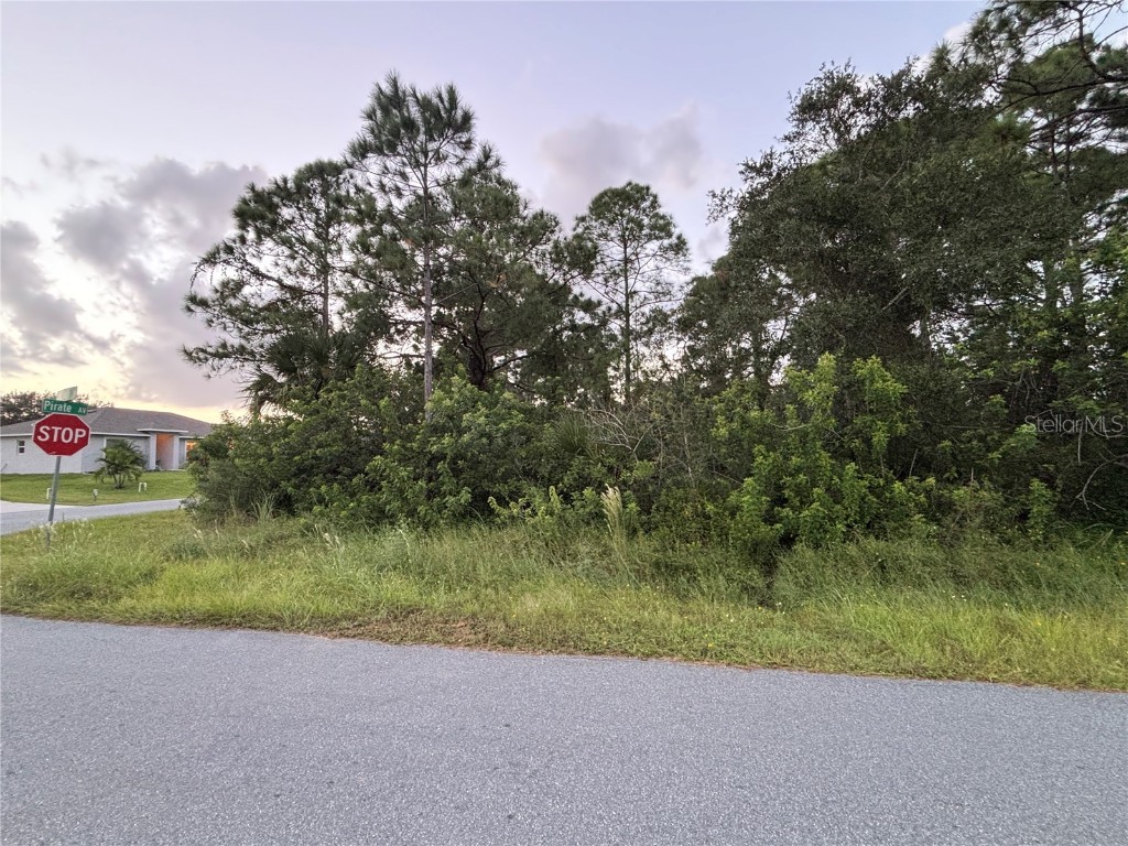 00 Corner Of Pirate Ave & Savannah St Palm Bay FL 32909 O6349503 image1