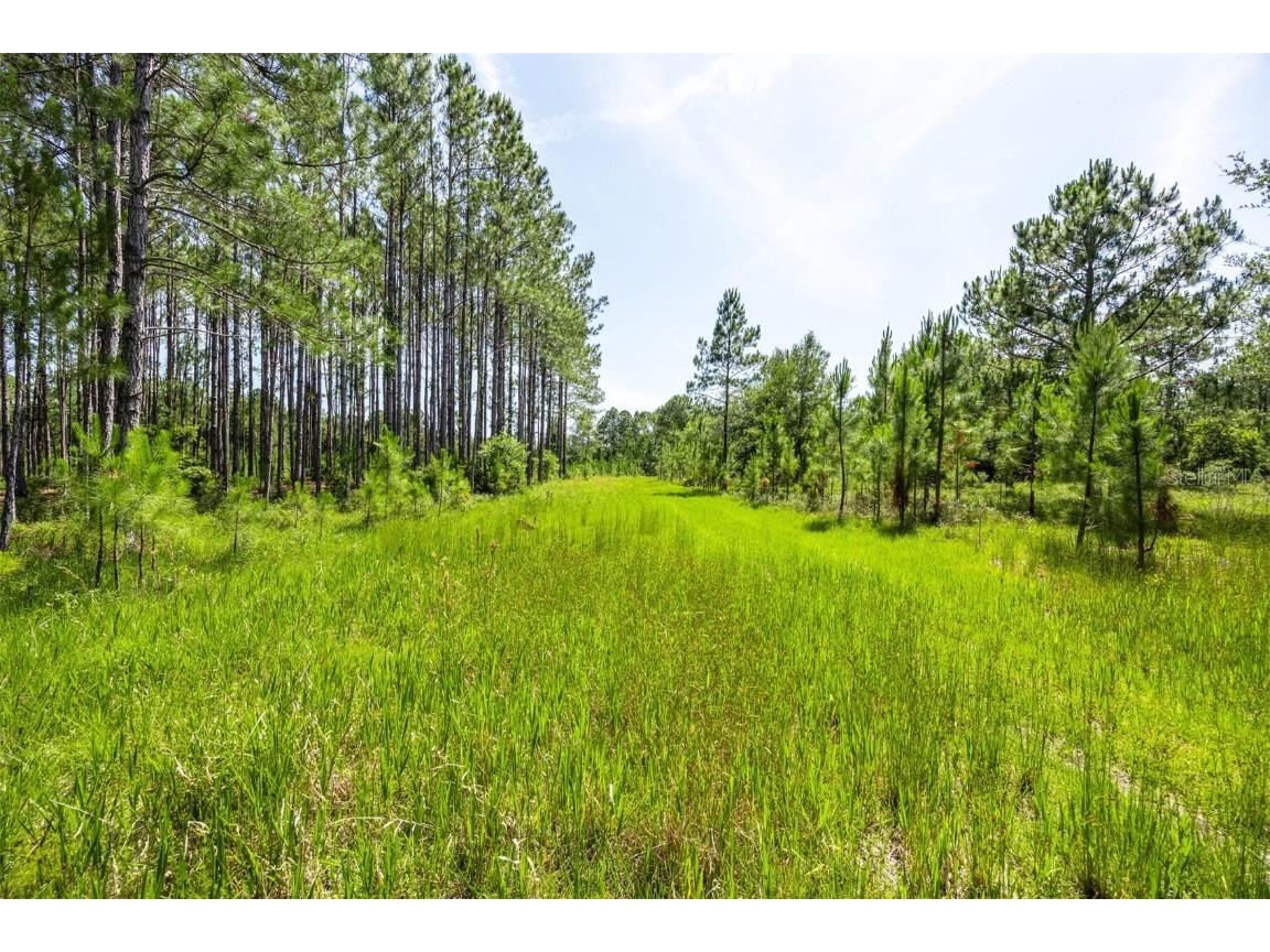 00 Chiefland FL 32626 GC531122 image10