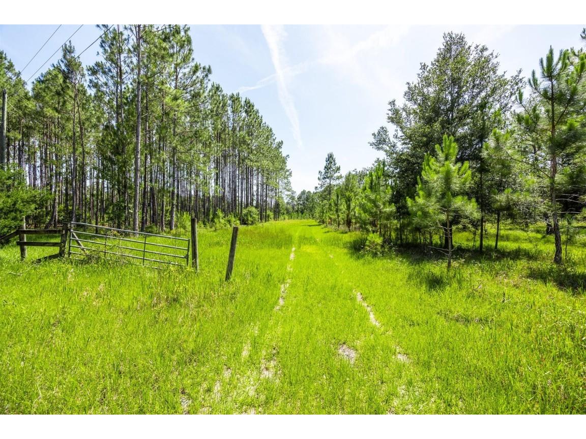 00 Chiefland FL 32626 GC531122 image9