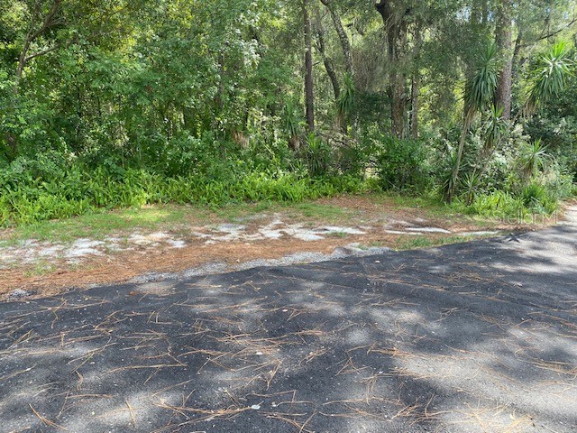 00 Deland FL 32724 NS1085723 image3