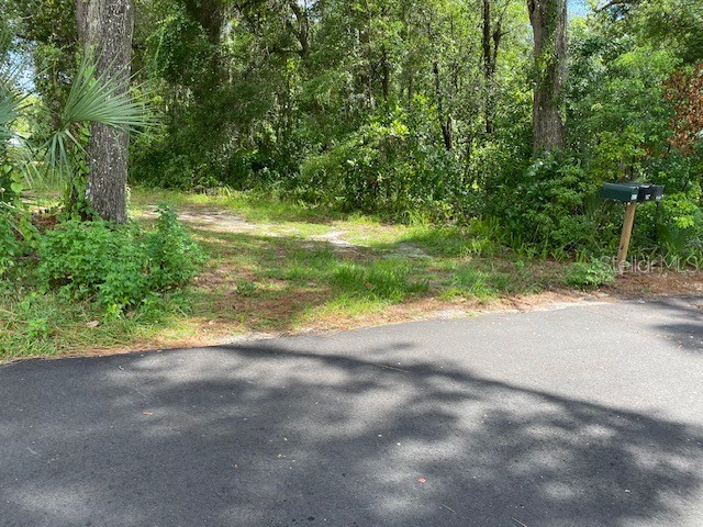 00 Deland FL 32724 NS1085723 image4