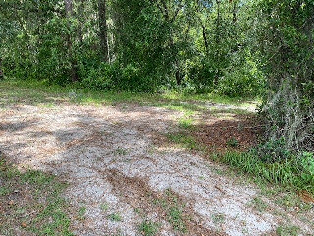 00 Deland FL 32724 NS1085723 image6