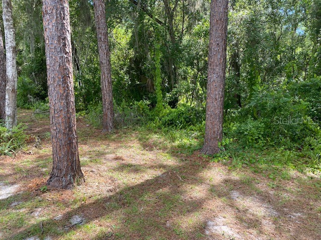 00 Deland FL 32724 NS1085723 image7