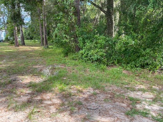 00 Deland FL 32724 NS1085723 image8